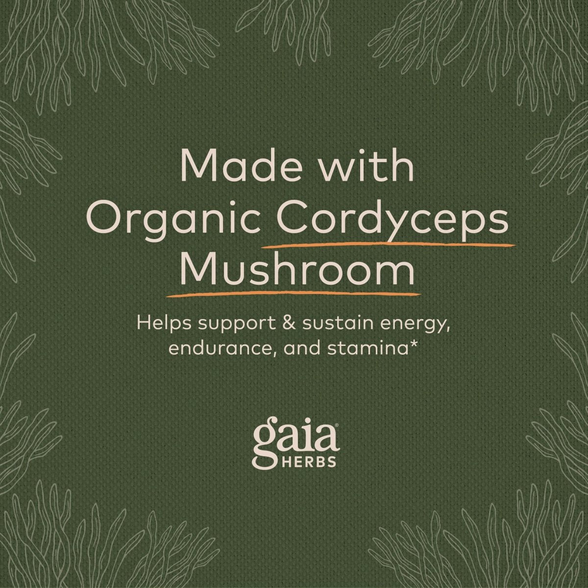 Gaia Herbs - Soutien Énergétique Champignon Cordyceps 450 mg - 40 Gélules