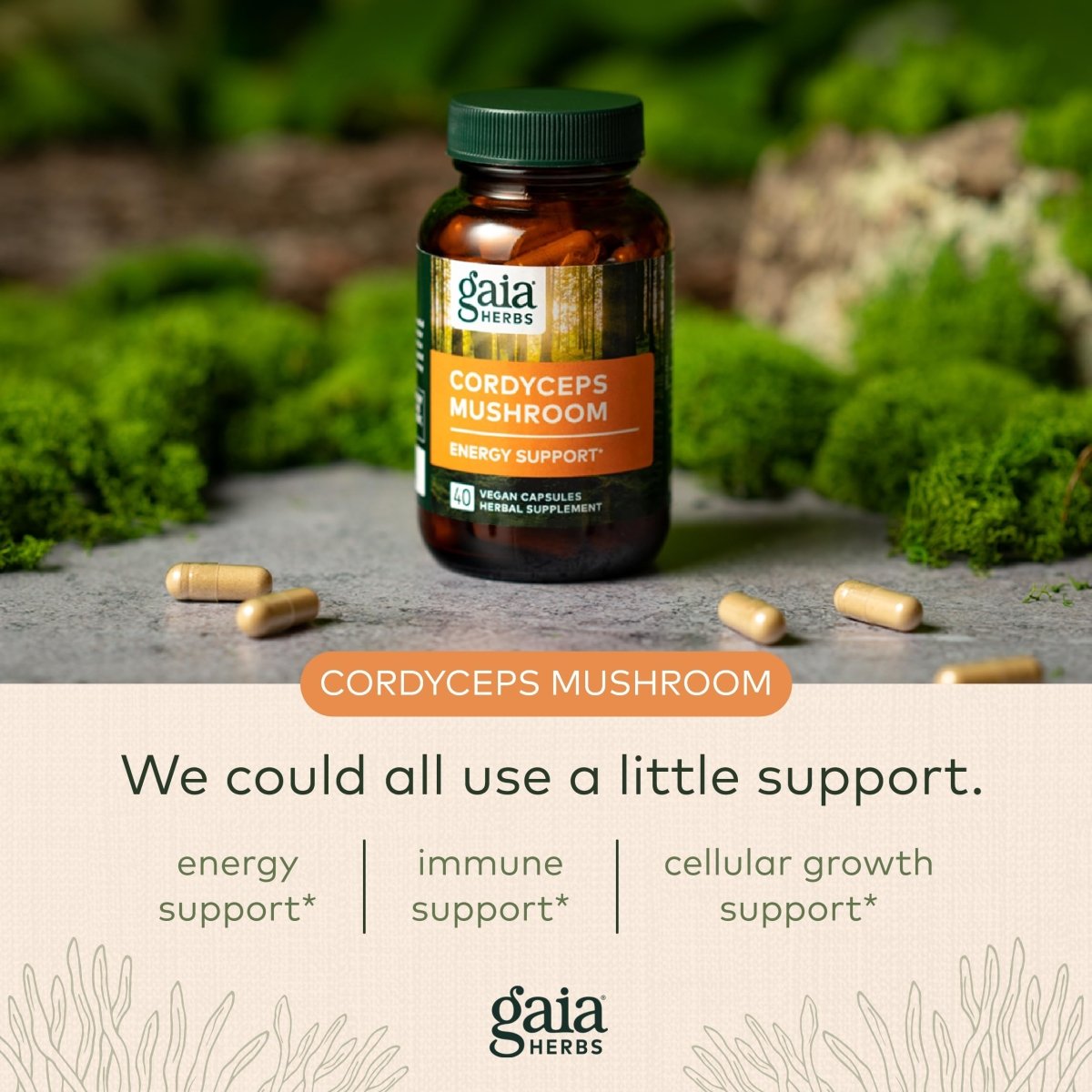 Gaia Herbs - Soutien Énergétique Champignon Cordyceps 450 mg - 40 Gélules