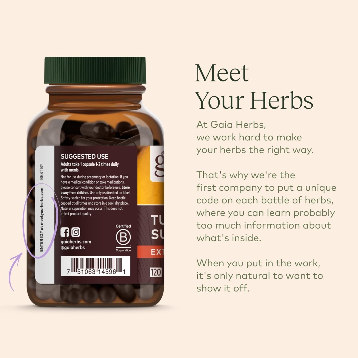 Gaia Herbs - Soutien Énergétique Champignon Cordyceps 450 mg - 40 Gélules