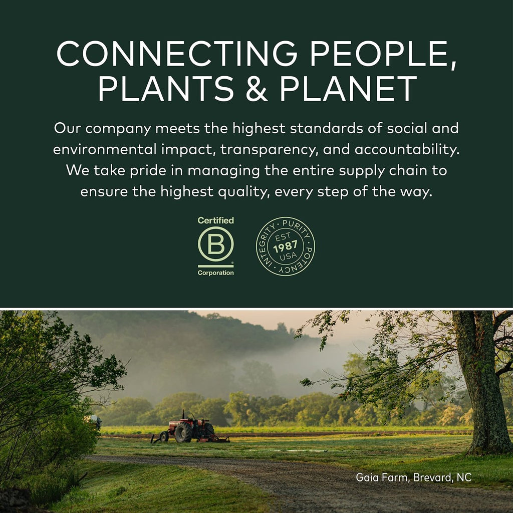 Gaia Herbs Racine d'éleuthéro - Soutien énergétique, d'endurance et d'endurance mentale - Supplément à base de plantes adaptogènes de racine d'éleuthéro (ginseng sibérien) - 60 Phyto-Capsules liquides végétaliennes (approvisionnement de 30 jours)