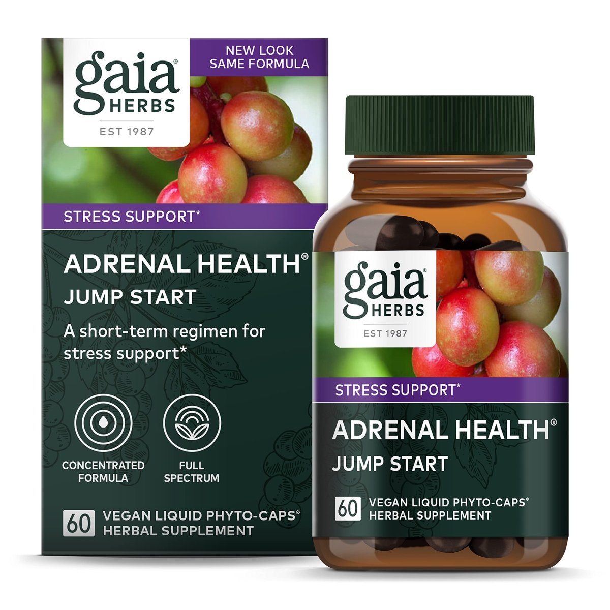 Gaia Herbs Jump Revive Start - 60 Phyto-Capsules Liquides Véganes (Approvisionnement de 30 Jours)