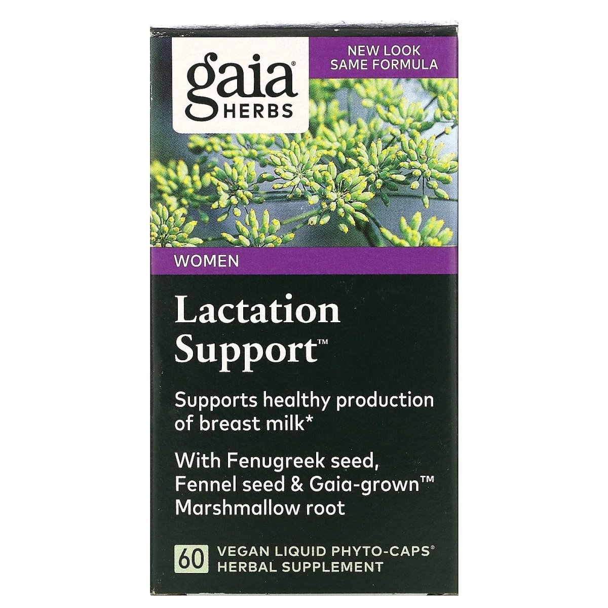 Gaia Herbs, Phyto soutien à la lactation, 60 capsules végétales