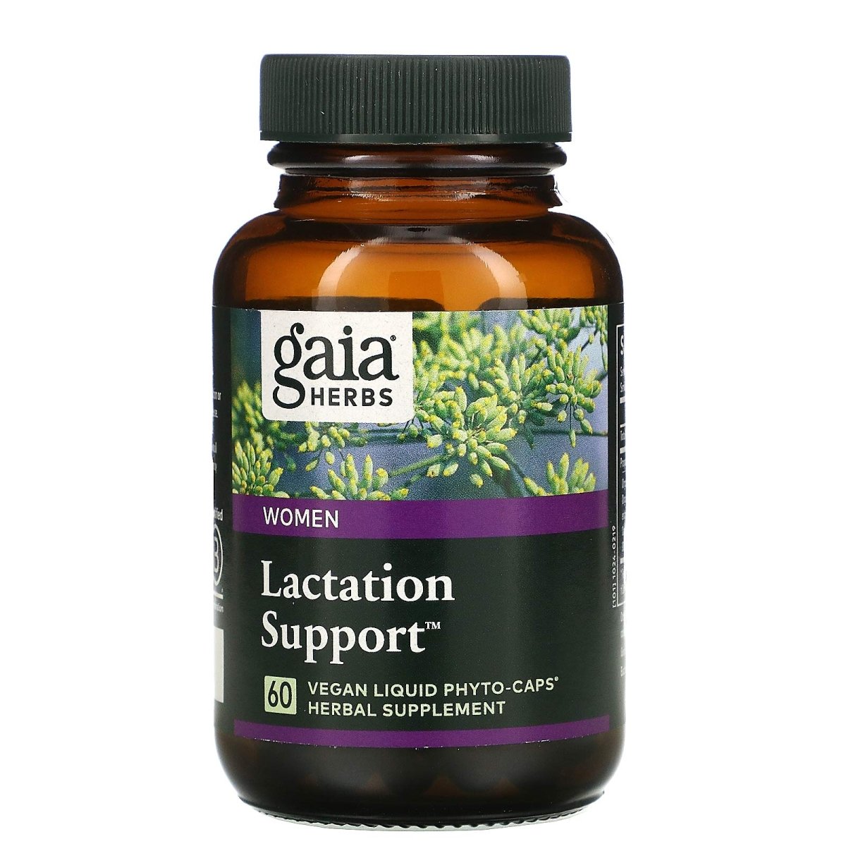 Gaia Herbs, Phyto soutien à la lactation, 60 capsules végétales