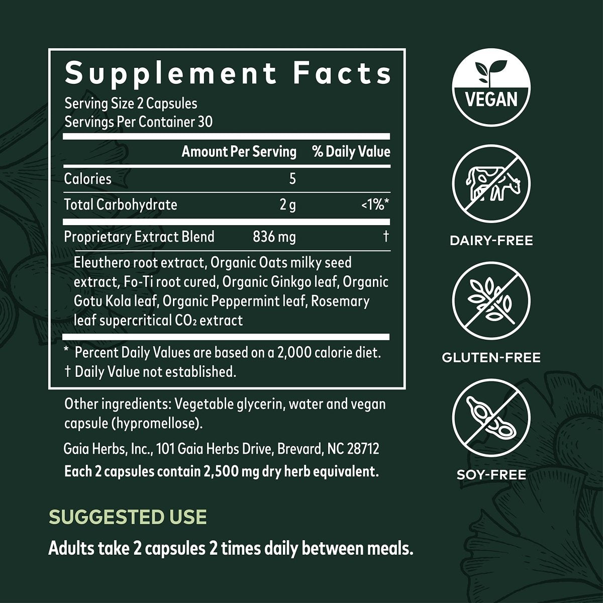 Gaia Herbs Mental Alertness - Brain Support Supplement to Help Maintain Focus & Memory - 60 Vegan Liquid Phyto-Capsules (15-Day Supply)