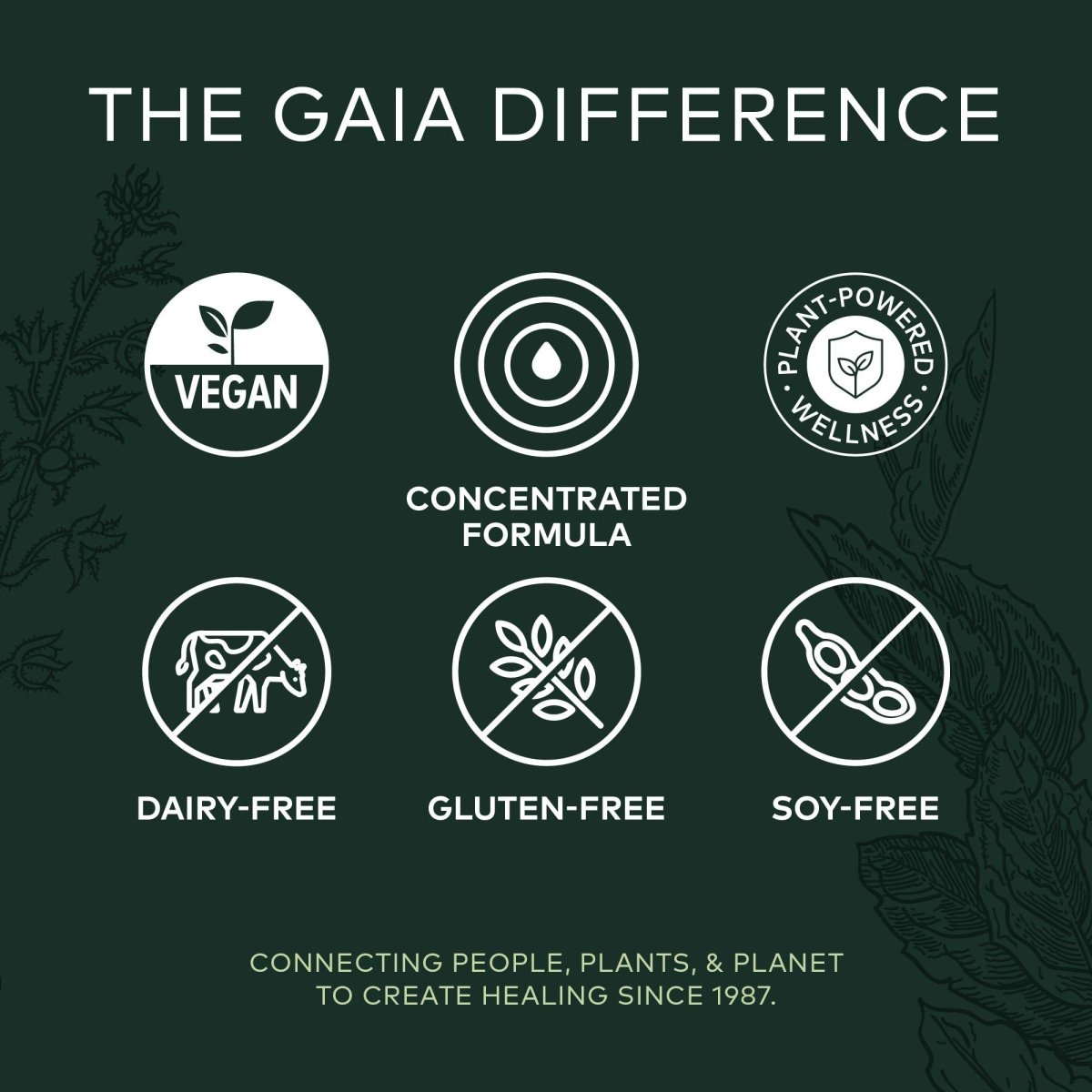Gaia Herbs Mighty Lungs - 60 Phyto-Capsules Liquides Véganes (Approvisionnement de 30 jours)