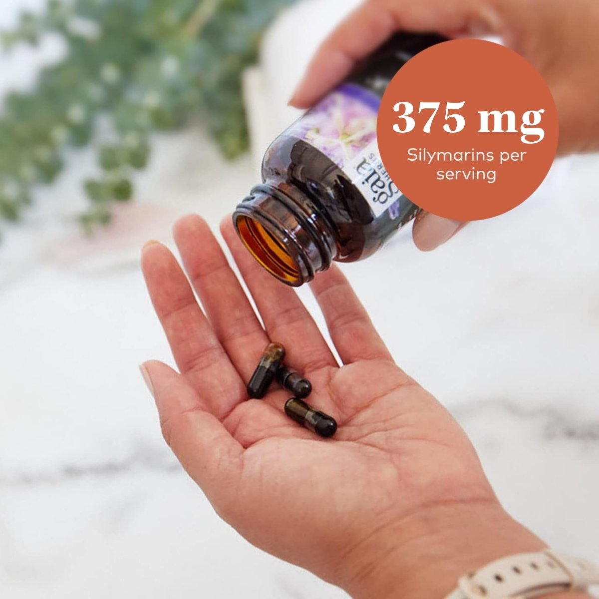 Gaia Herbs Chardon-Marie - Soutien du foie et de la détoxification pour maintenir une fonction hépatique saine - 120 capsules végétaliennes (approvisionnement de 20 jours)