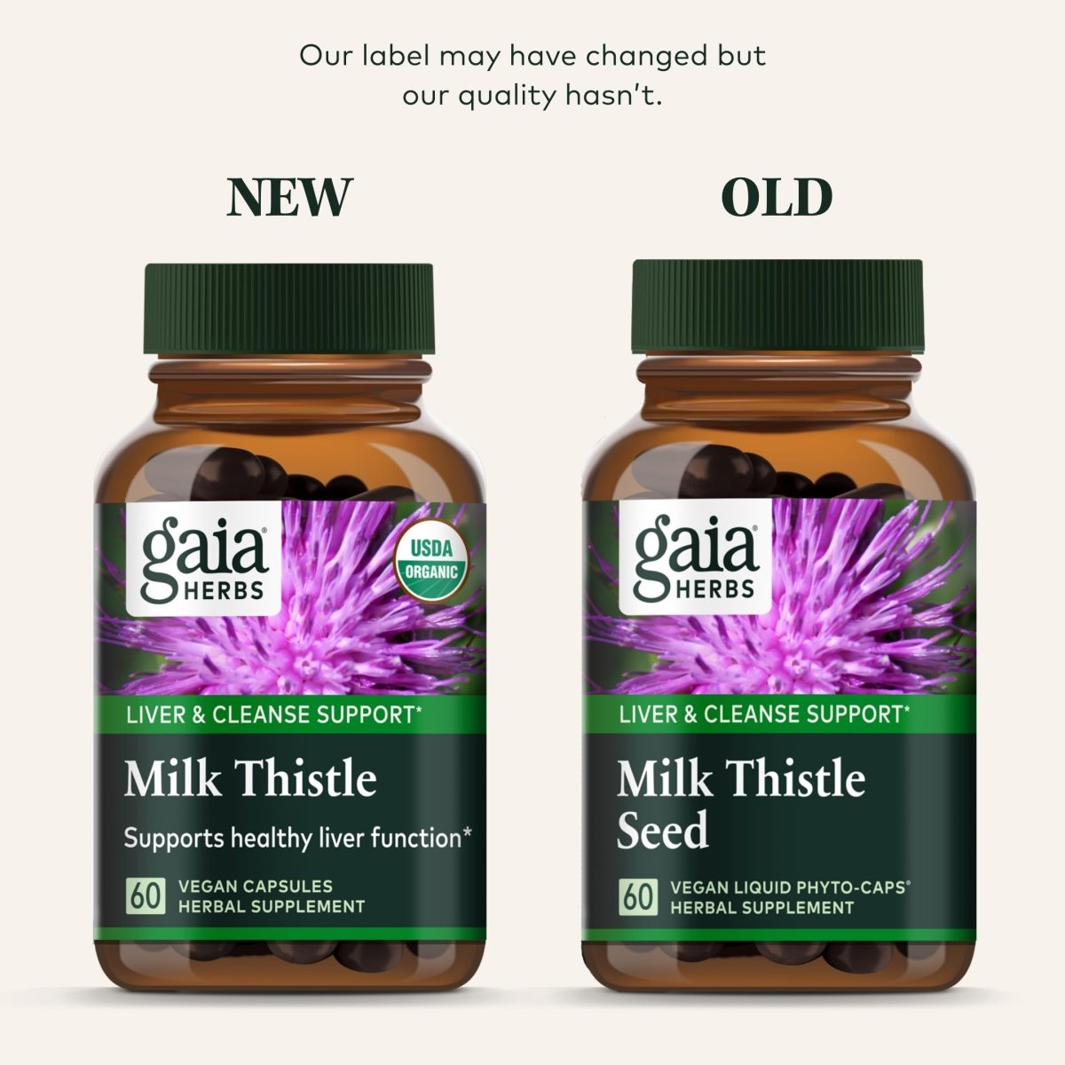 Gaia Herbs Chardon-Marie - Soutien du foie et de la détoxification pour maintenir une fonction hépatique saine - 120 capsules végétaliennes (approvisionnement de 20 jours)