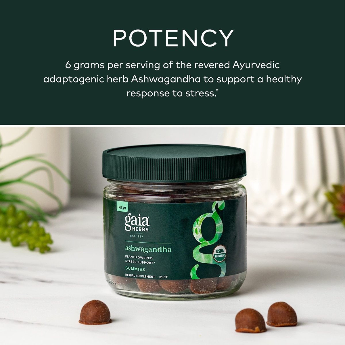 Gaia Herbs Bonbons gommeux biologiques à l'ashwagandha, soutien du stress, cannelle, gingembre, sans gluten, végétalien, 81 unités