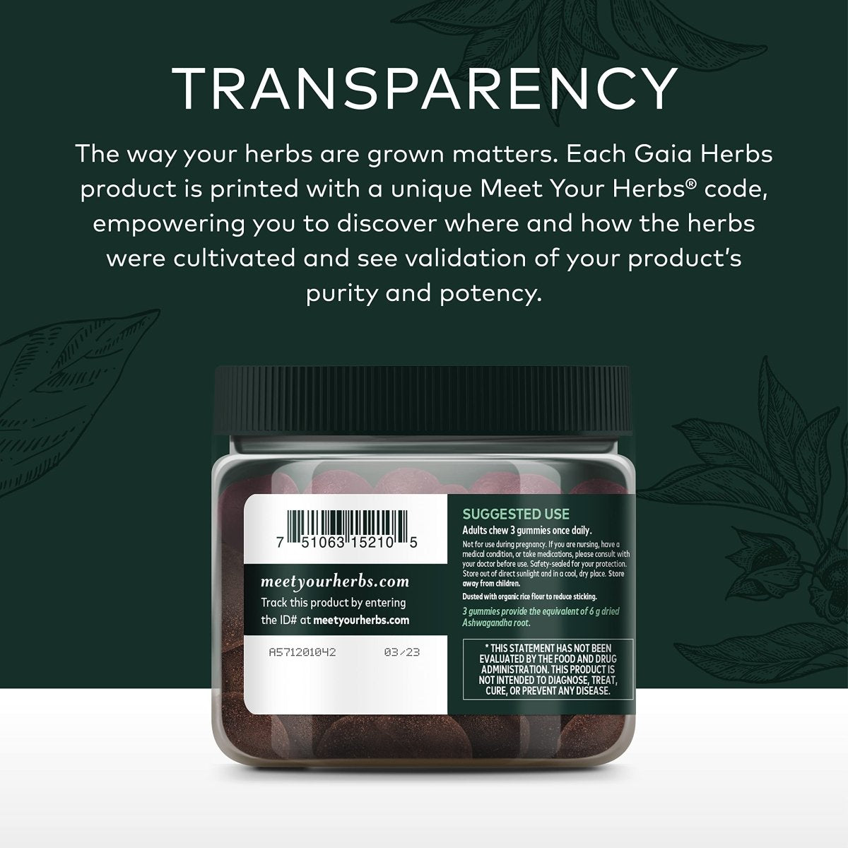 Gaia Herbs Bonbons gommeux biologiques à l'ashwagandha, soutien du stress, cannelle, gingembre, sans gluten, végétalien, 81 unités