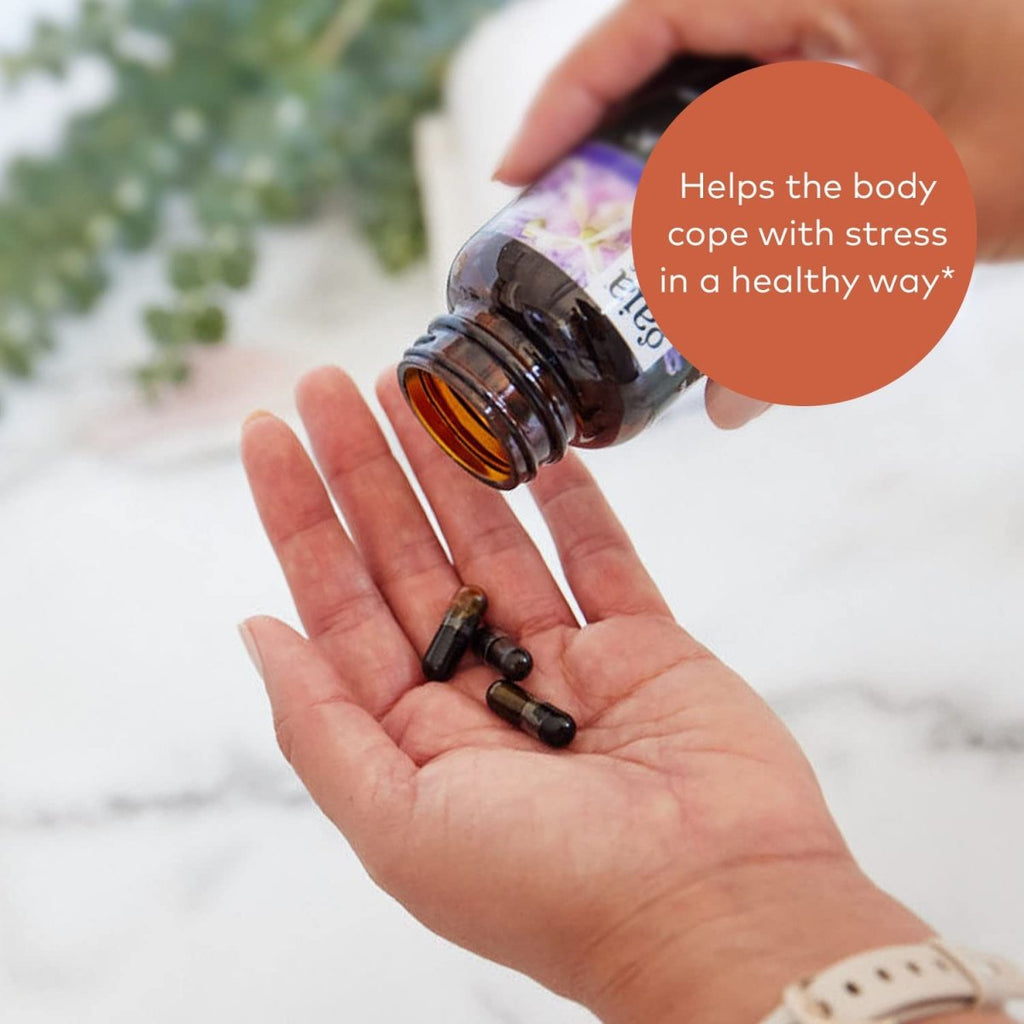 Gaia Herbs Rhodiola Rosea - 120 capsules liquides végétaliennes Phyto-Caps (pour 60 jours)
