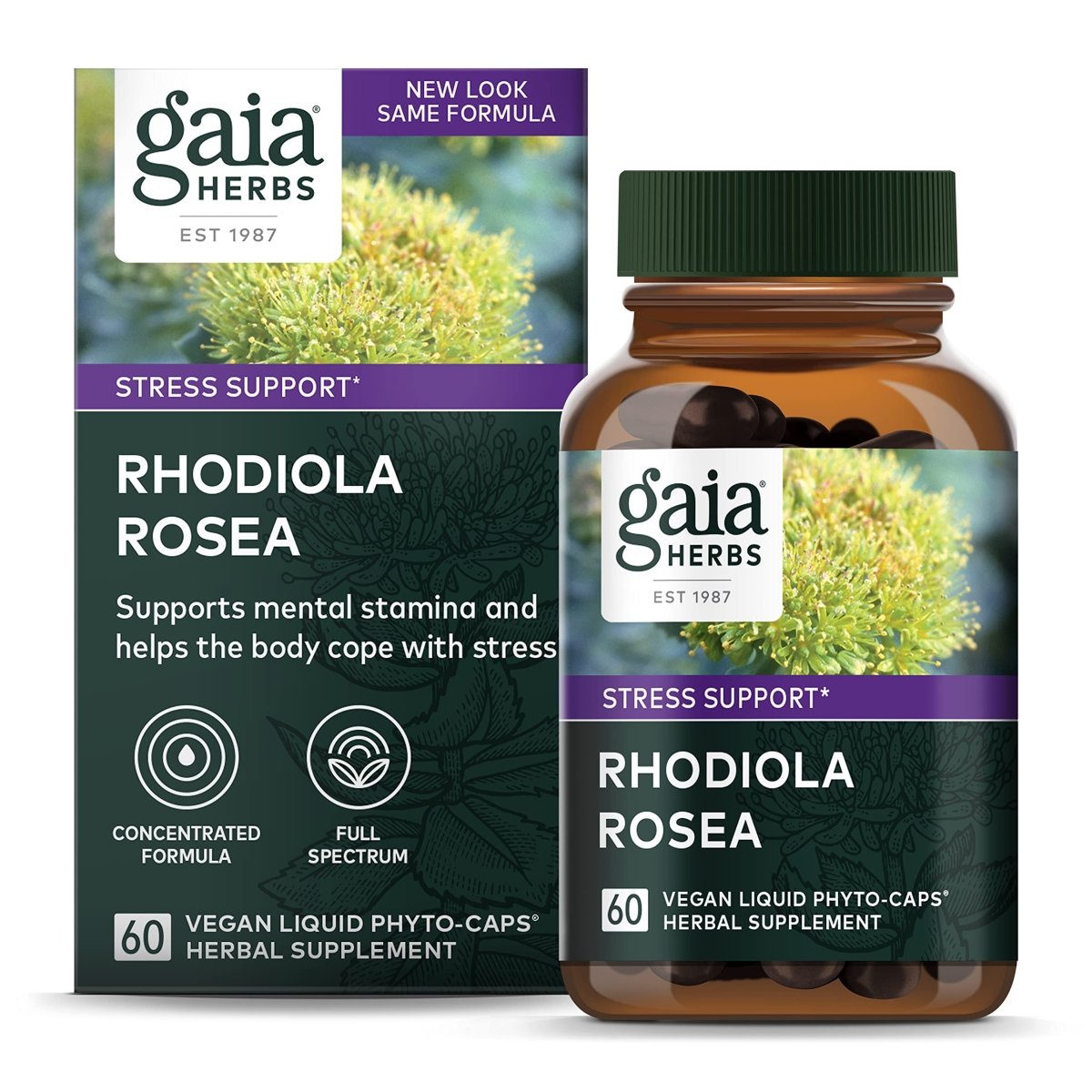 Gaia Herbs Rhodiola Rosea - Stress Support Supplement Traditionally for Supporting Healthy Stamina and Endurance - 60 Vegan Liquid Phyto-Capsules (30-Day Supply)