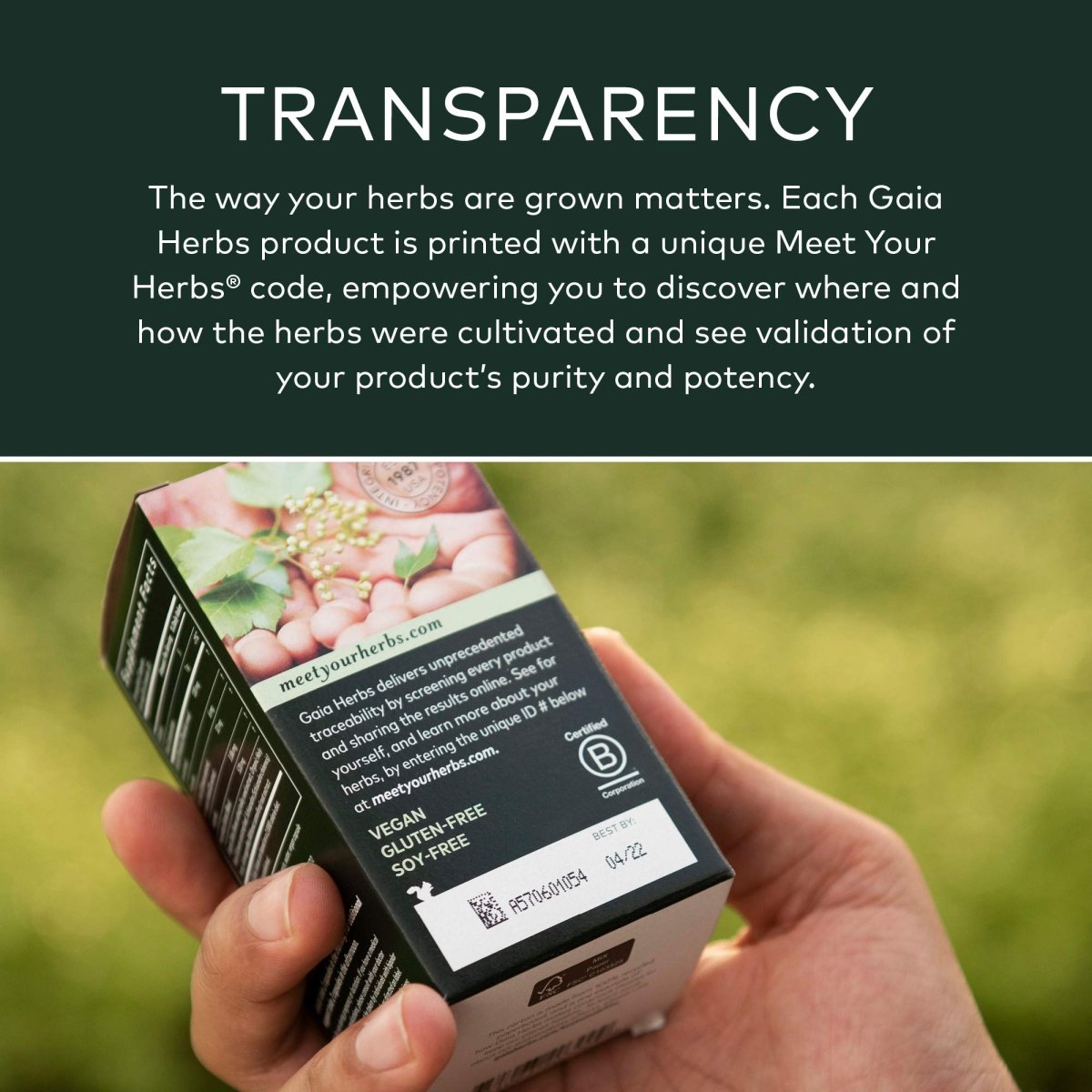 Gaia Herbs Coriolus versicolor (Trametes versicolor) - Supplément de soutien immunitaire