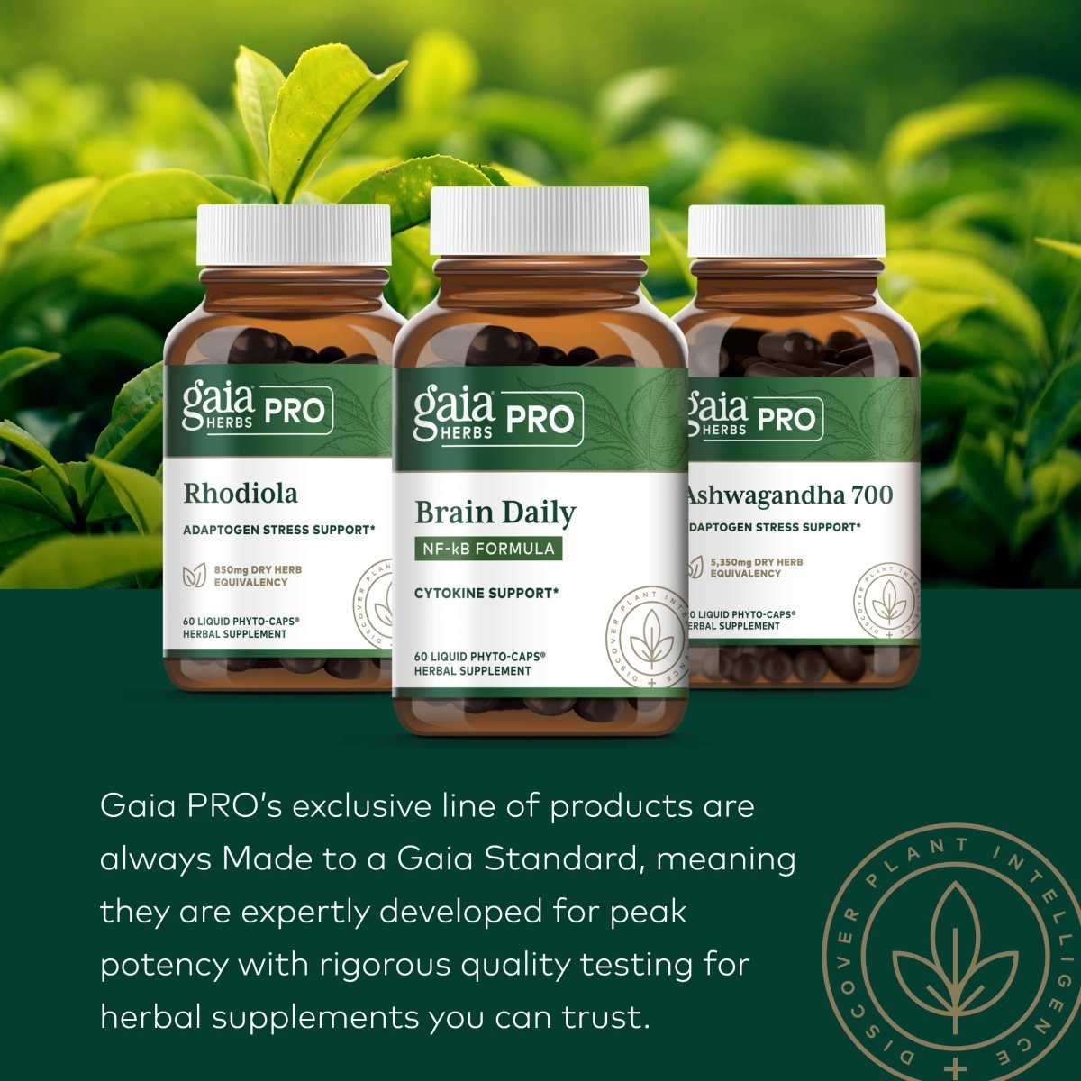 Gaia PRO Daily Mushroom Immune