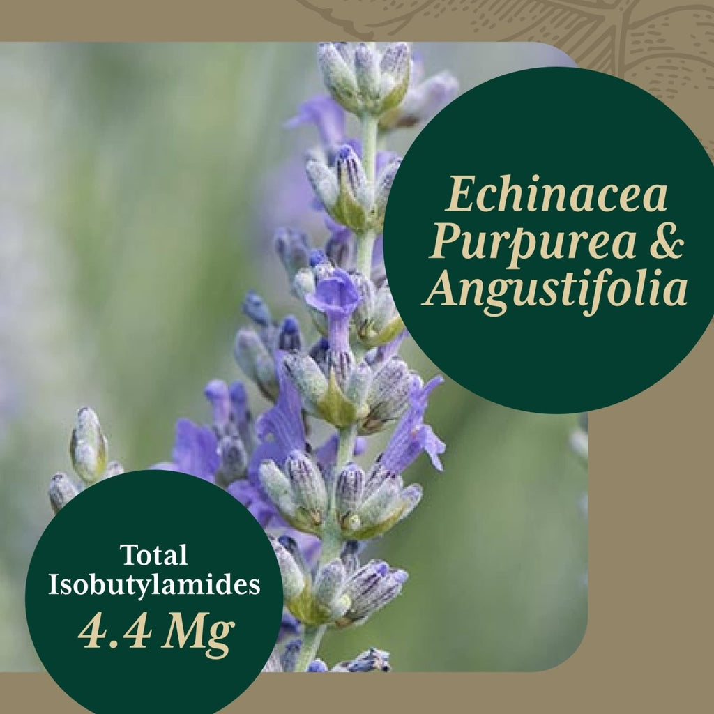 Gaia PRO Echinacea Blend - Immune Support Supplement - 60 Vegan Liquid Phyto-Capsules (30 Servings)