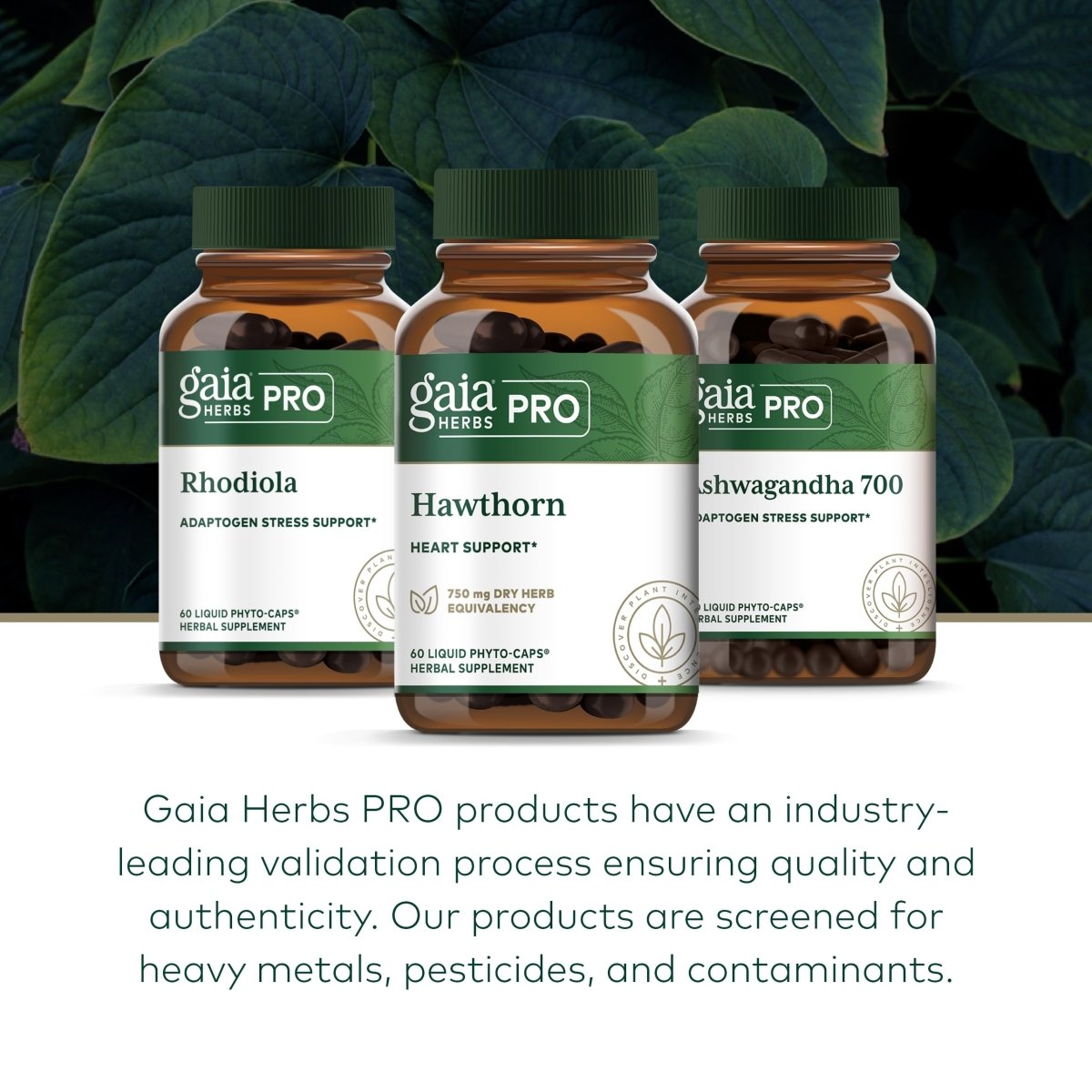Gaia PRO Aubépine 60 Phyto-Capsules Liquides Véganes
