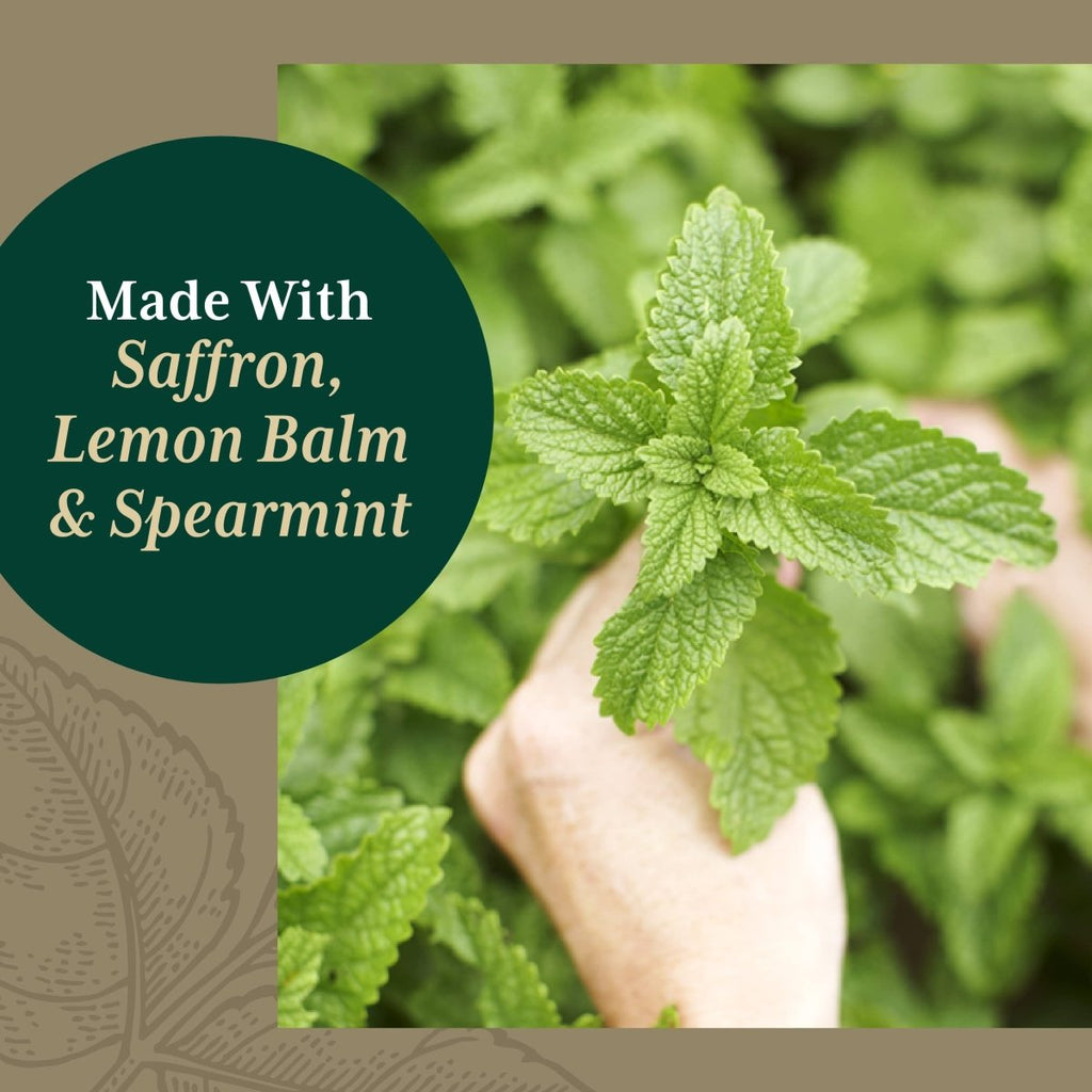 Gaia PRO Nootropic Focus - 40 Vegan Liquid Phyto-Capsules (20 Servings)