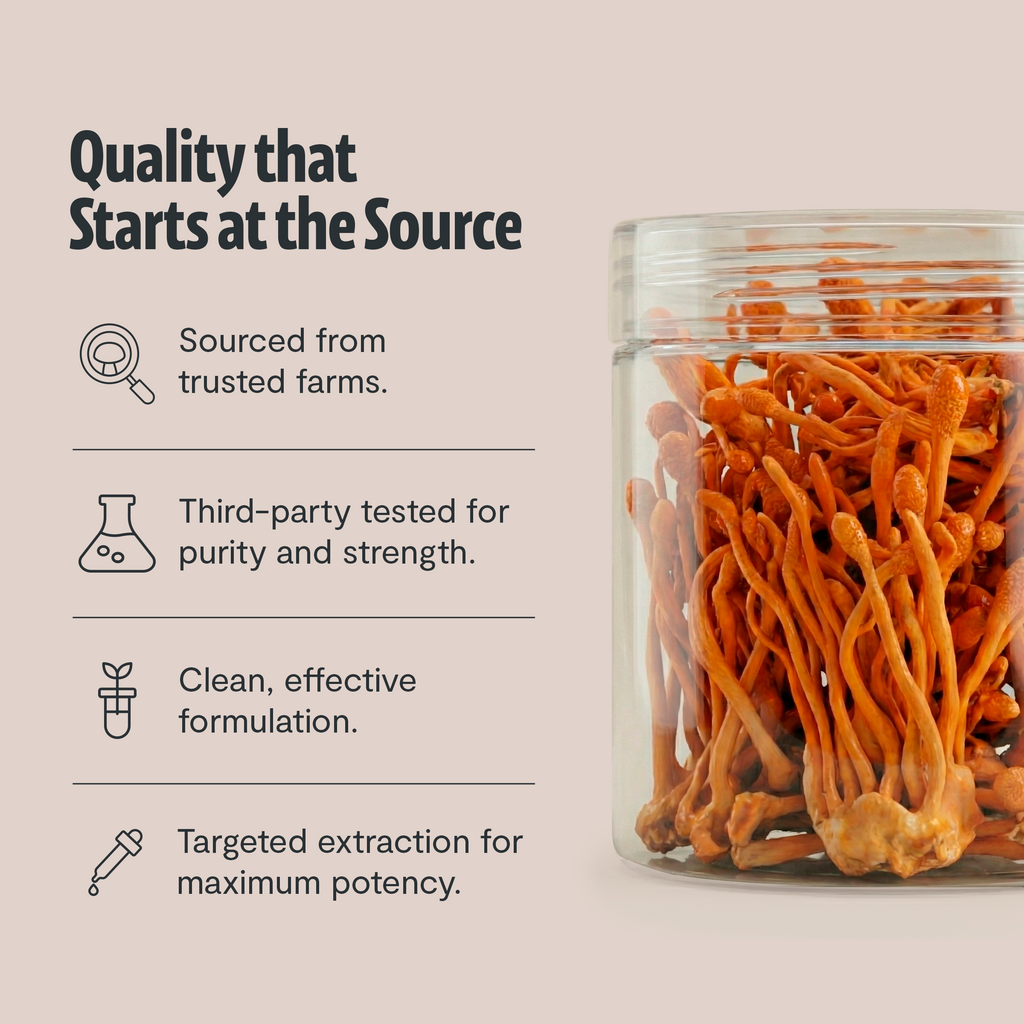 Poudre d'extrait de champignon Cordyceps