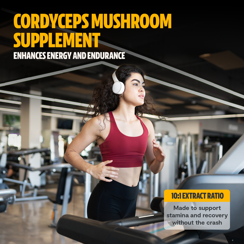 Poudre d'extrait de champignon Cordyceps