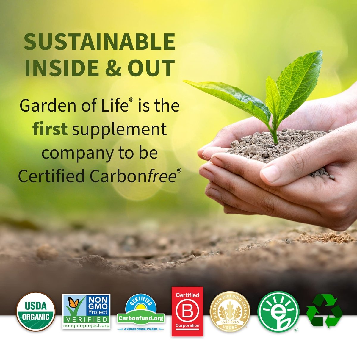 Garden of Life - Vitamin Code RAW Kombucha - 60 gélules végétaliennes