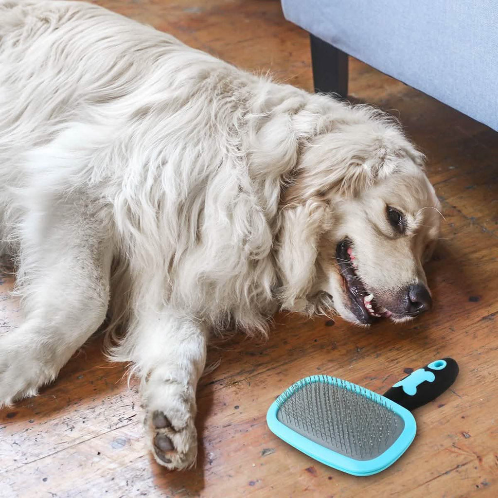 Brosse pour chien et chat Glendan - Brosse de toilettage pour animaux de compagnie