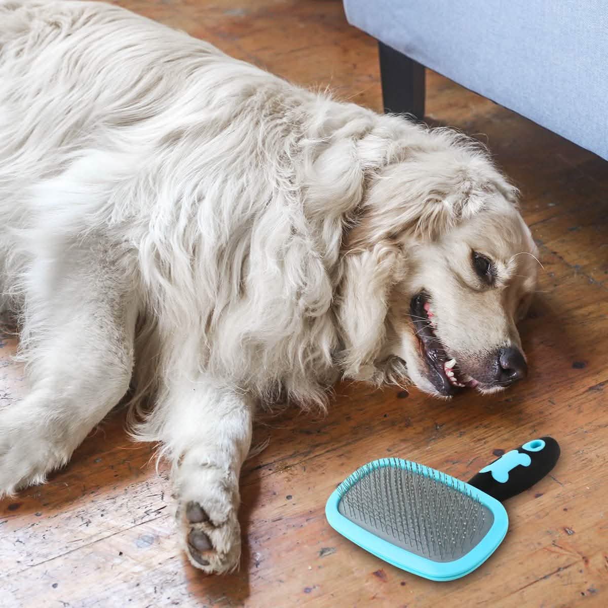Brosse pour chien et chat Glendan - Brosse de toilettage pour animaux de compagnie