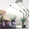 Lampes de croissance pour semis, allumage et extinction automatiques, lampes de culture LED à spectre complet avec minuterie