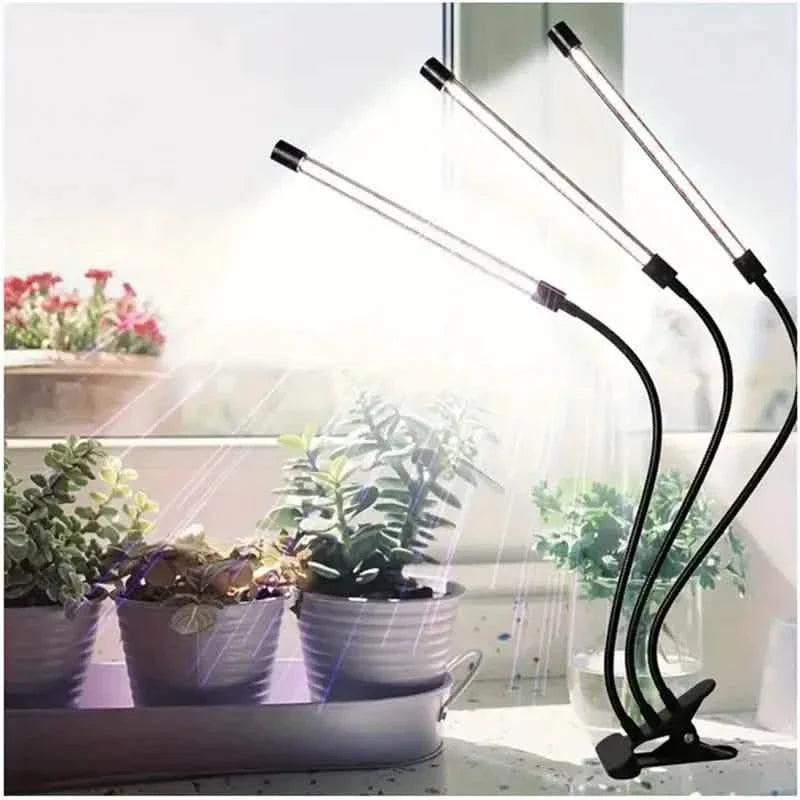 Lampes de croissance pour semis, allumage et extinction automatiques, lampes de culture LED à spectre complet avec minuterie