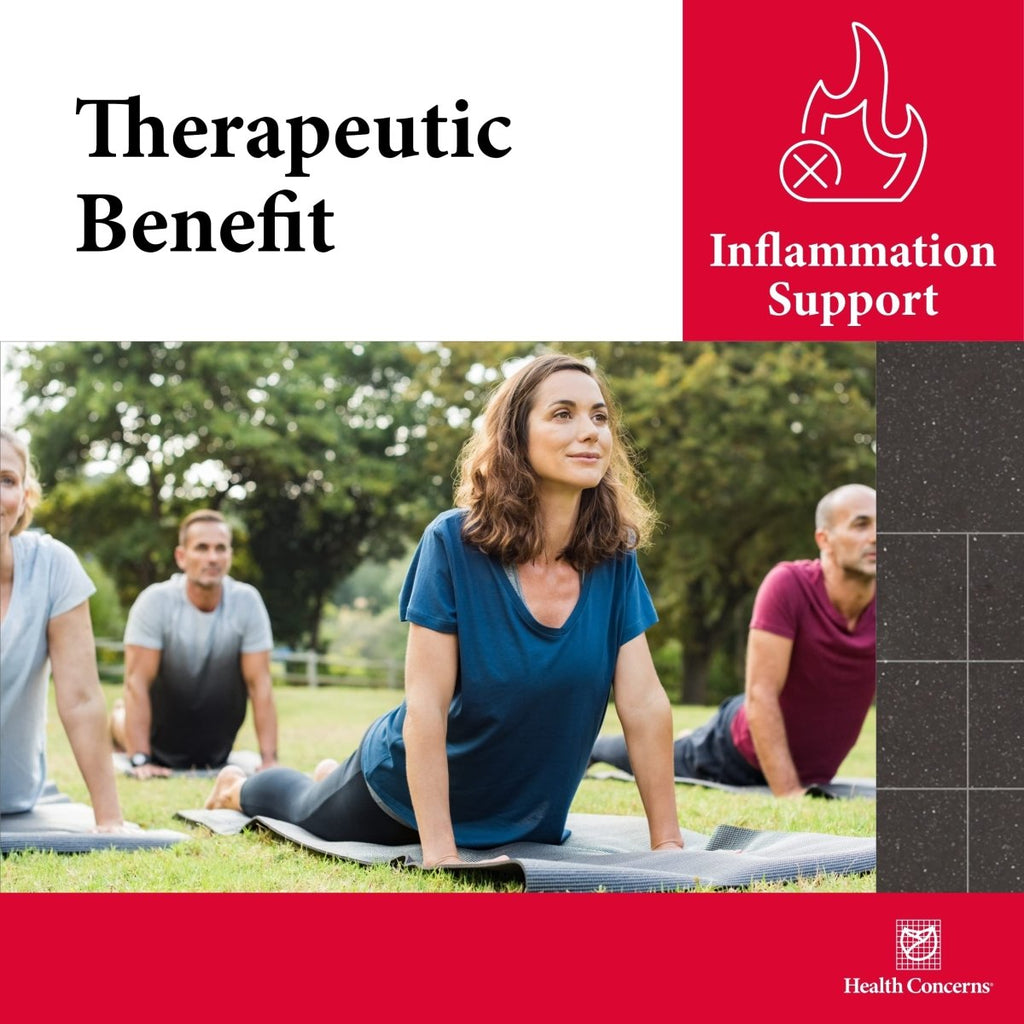 Problèmes de santé Canal de flux - Supplément pour la santé musculaire - Soutien sanguin - 60 capsules