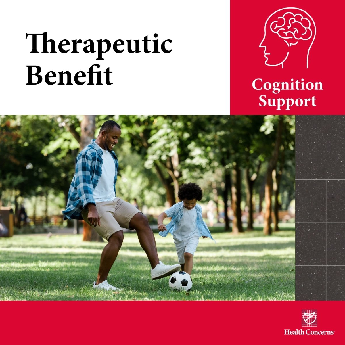 Health Concerns Cogni Spark - Soutien à la santé cérébrale pour la mémoire - Complément pour la concentration - 30 gélules