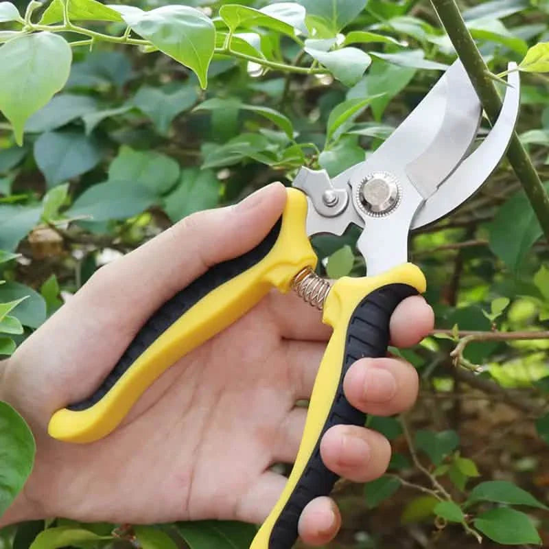 Sécateur robuste avec lames en acier inoxydable antirouille, outil de jardinage à main