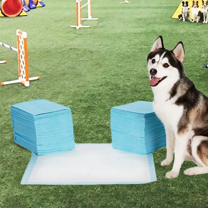 Tapis d'entraînement ultra-résistants pour animaux de compagnie