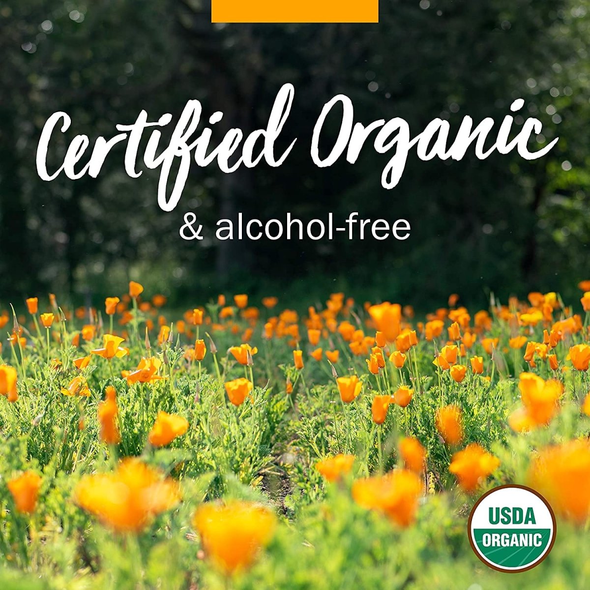 Herb Pharm Cotton Root 1oz