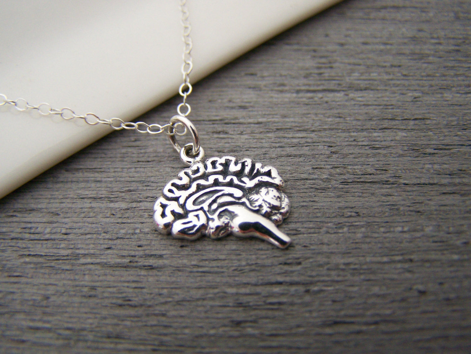 Collier en argent sterling avec pendentif anatomique en forme de cerveau – Breloque artisanale pour les professionnels de la santé et les étudiants