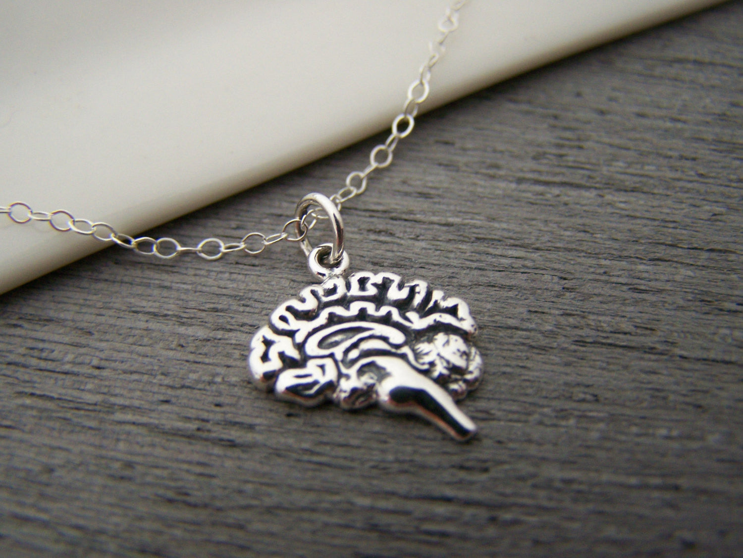 Collier en argent sterling avec pendentif anatomique en forme de cerveau – Breloque artisanale pour les professionnels de la santé et les étudiants