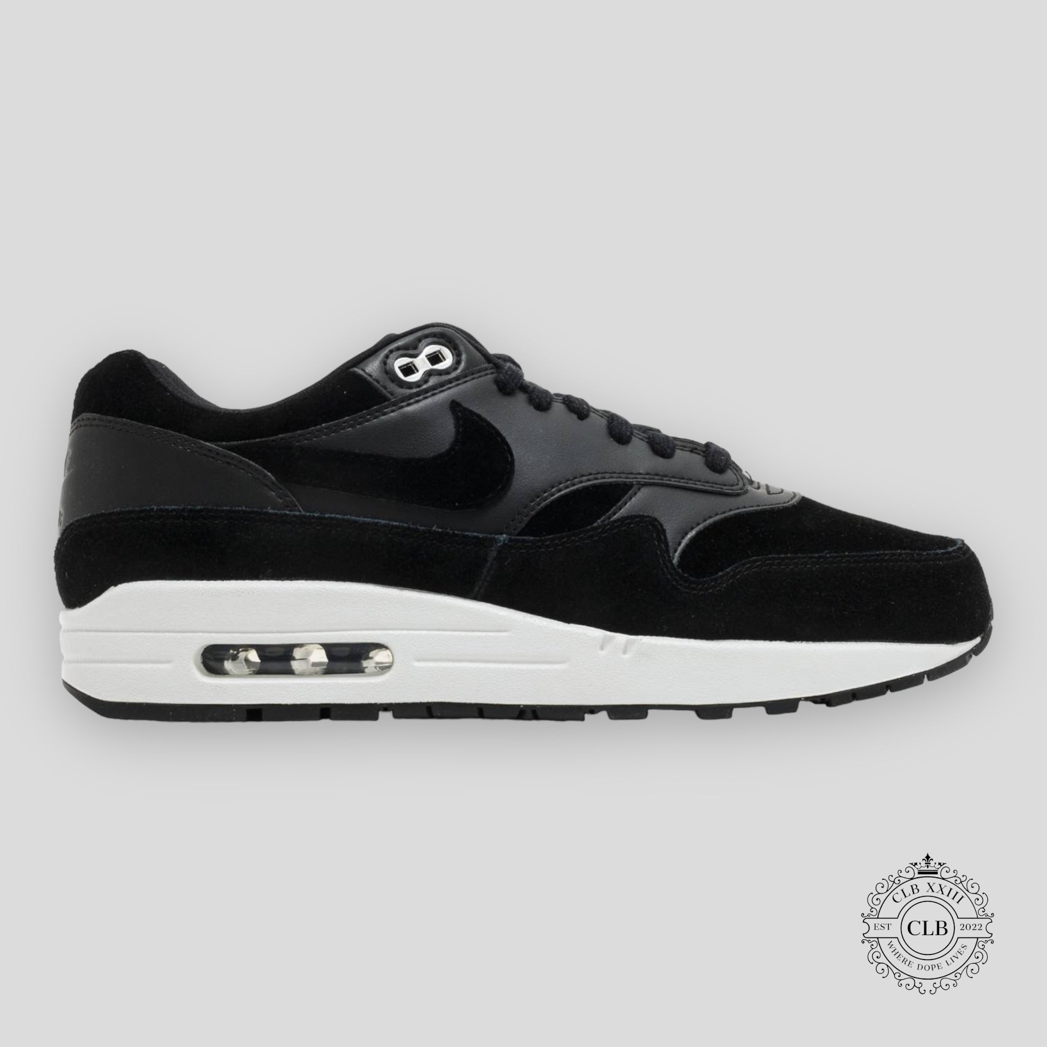 NIKE AIR MAX 1 « REBEL SKULLS »