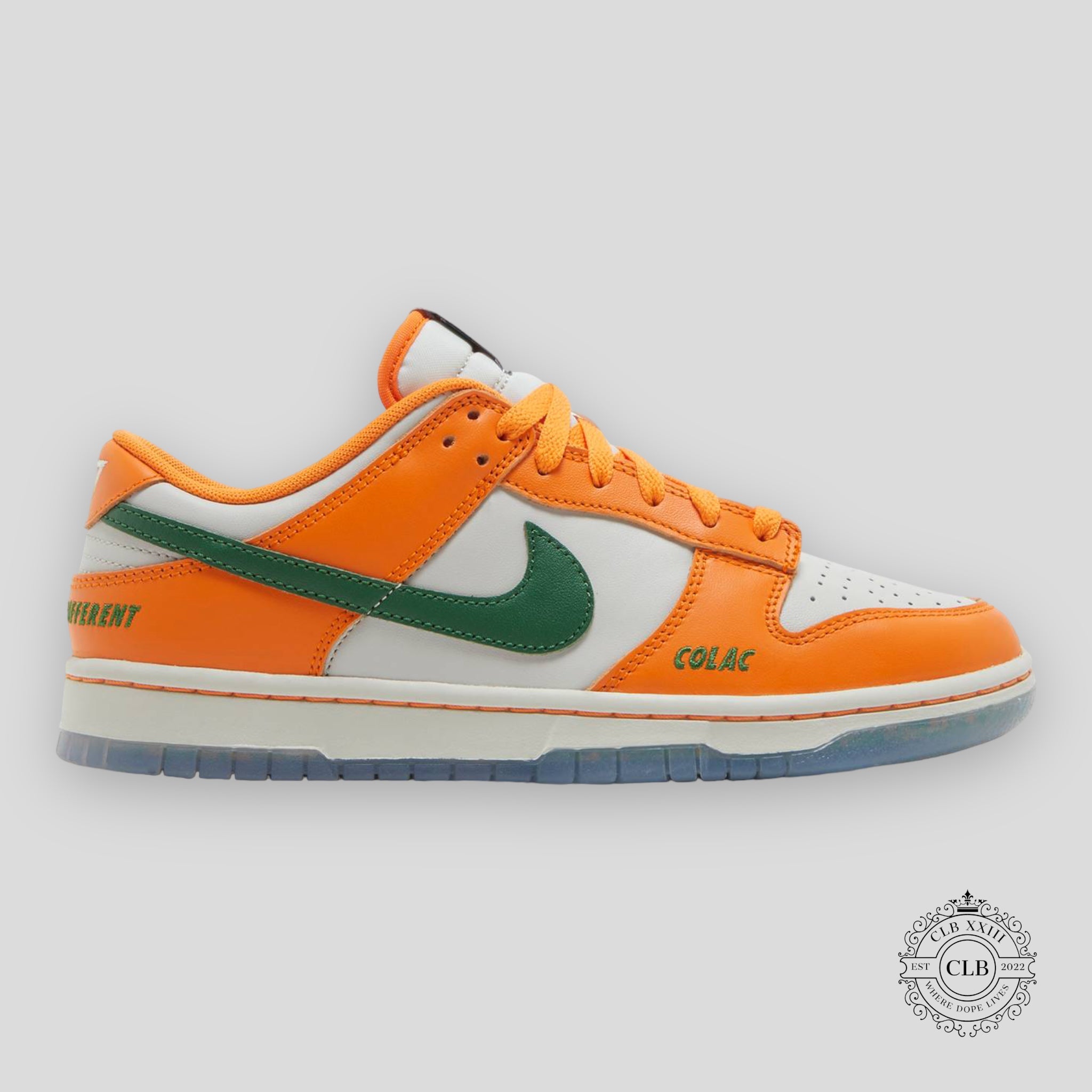 NIKE DUNK LOW « FLORIDA A&M UNIVERSITY »