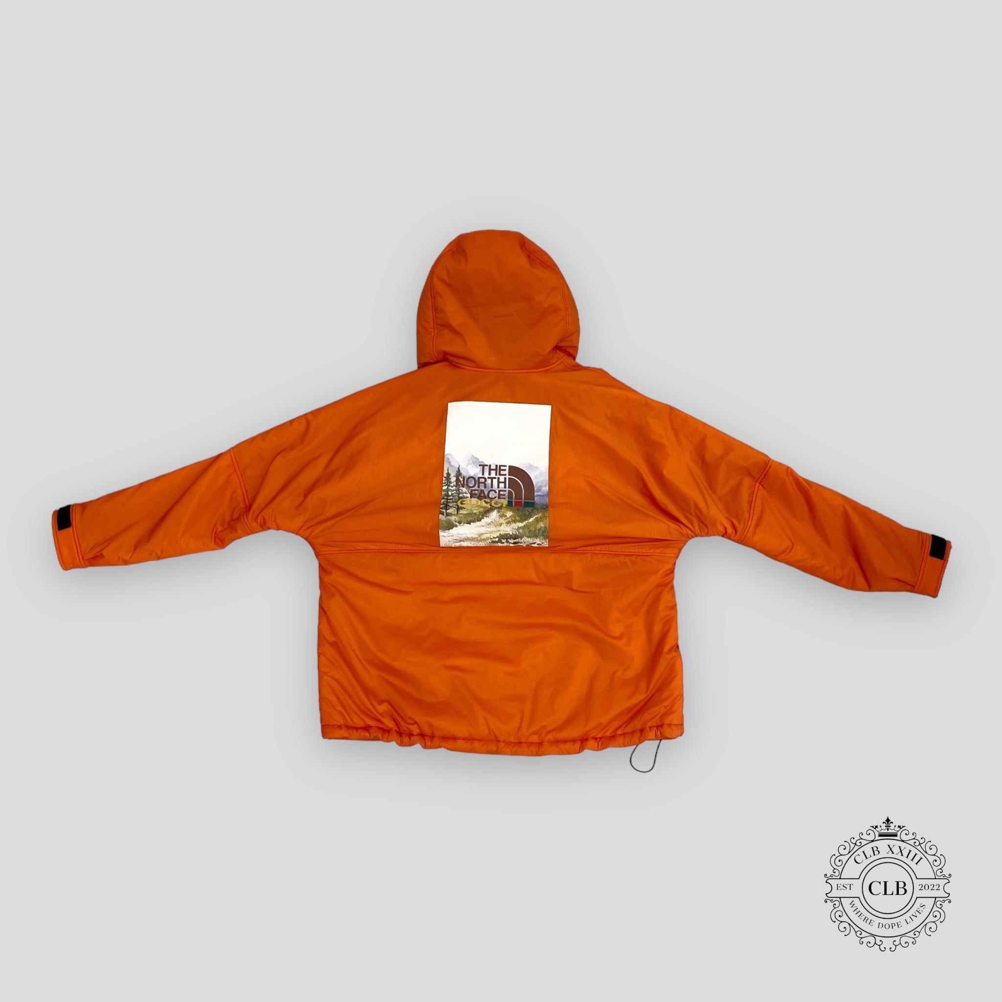 DOUDOUNE THE NORTH FACE X GUCCI EN RIPSTOP REMBOURRÉ - ORANGE