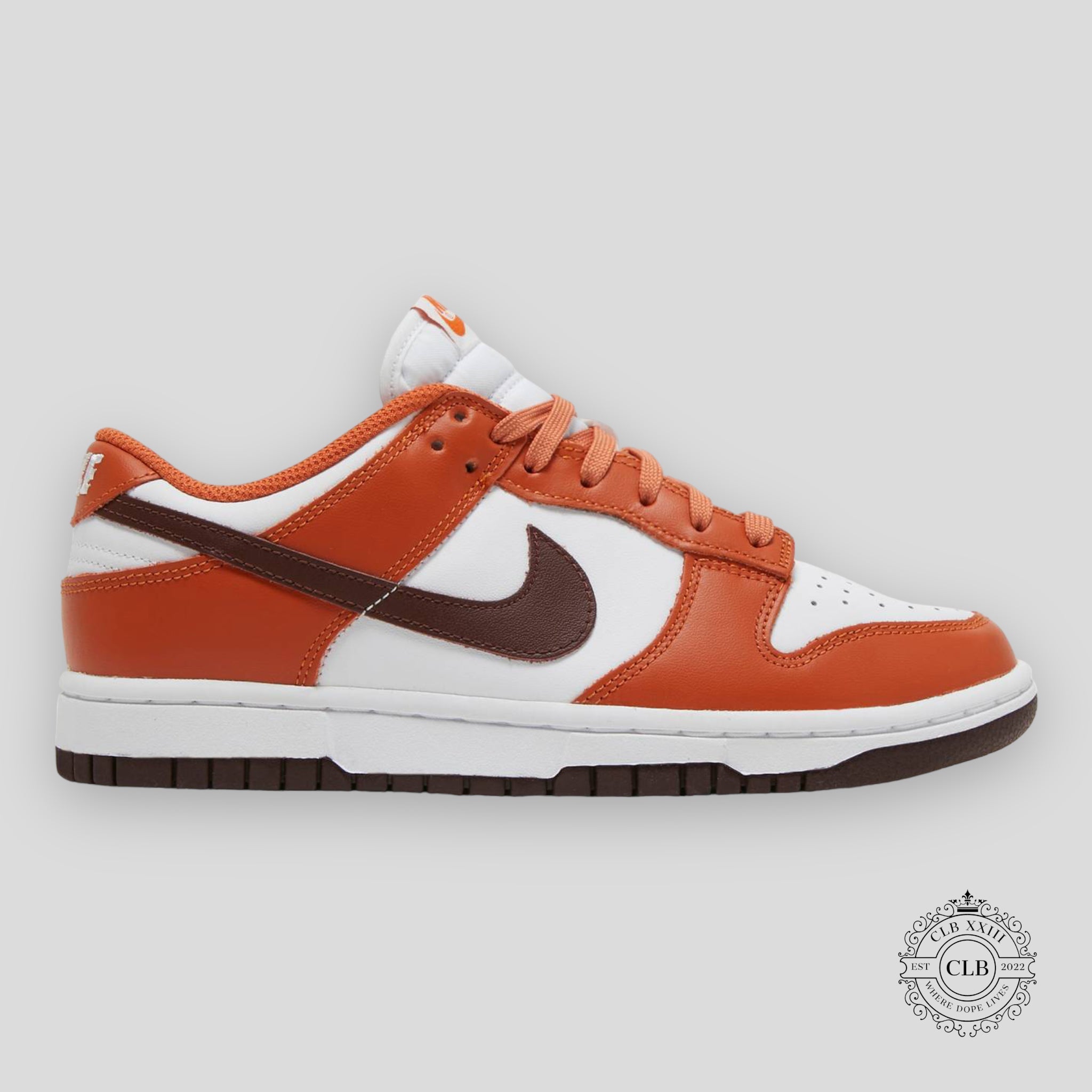 NIKE DUNK LOW (F) « BRONZE ECLIPSE »