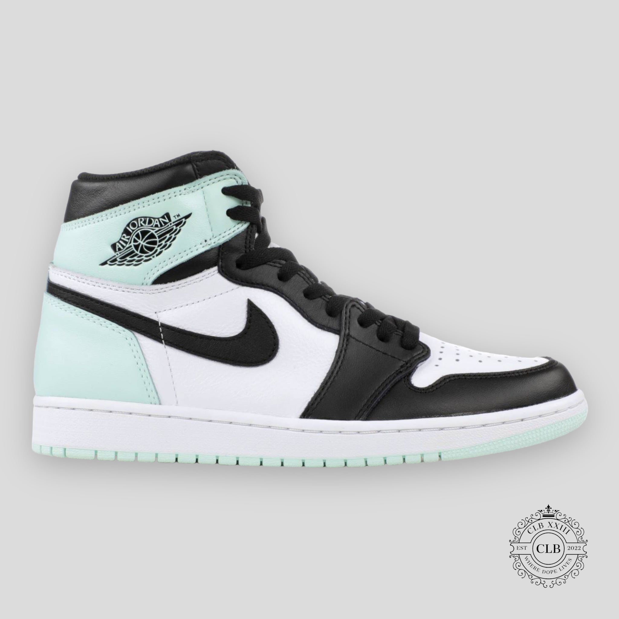 AIR JORDAN 1 RETRO HIGH OG « IGLOO »
