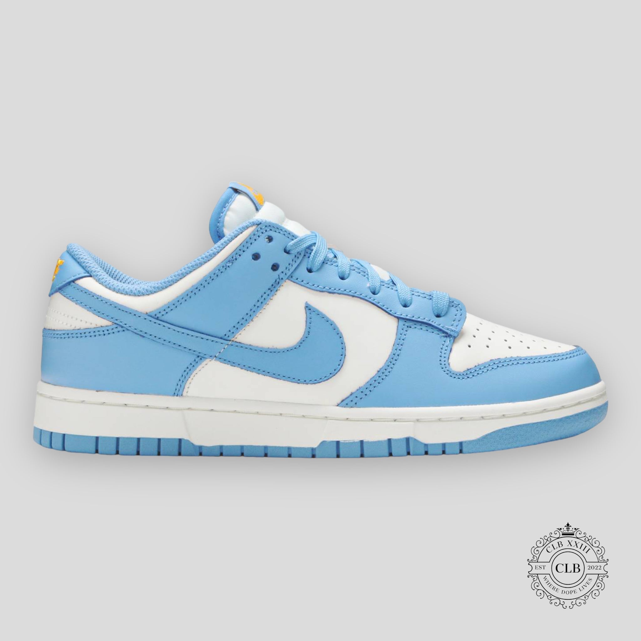 NIKE DUNK LOW (F) « UNC COAST »