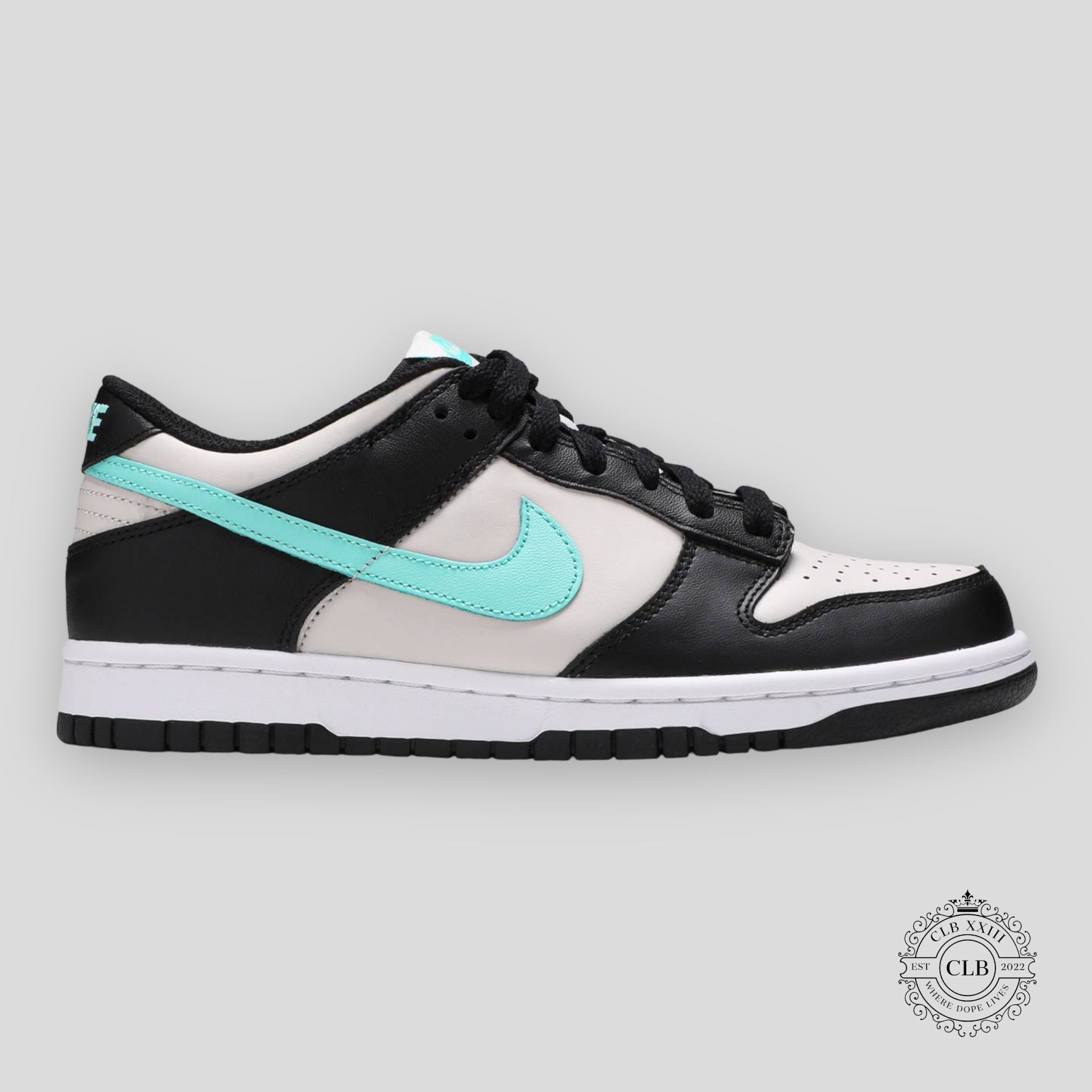 NIKE DUNK LOW (GS) « TROPICAL TWIST »