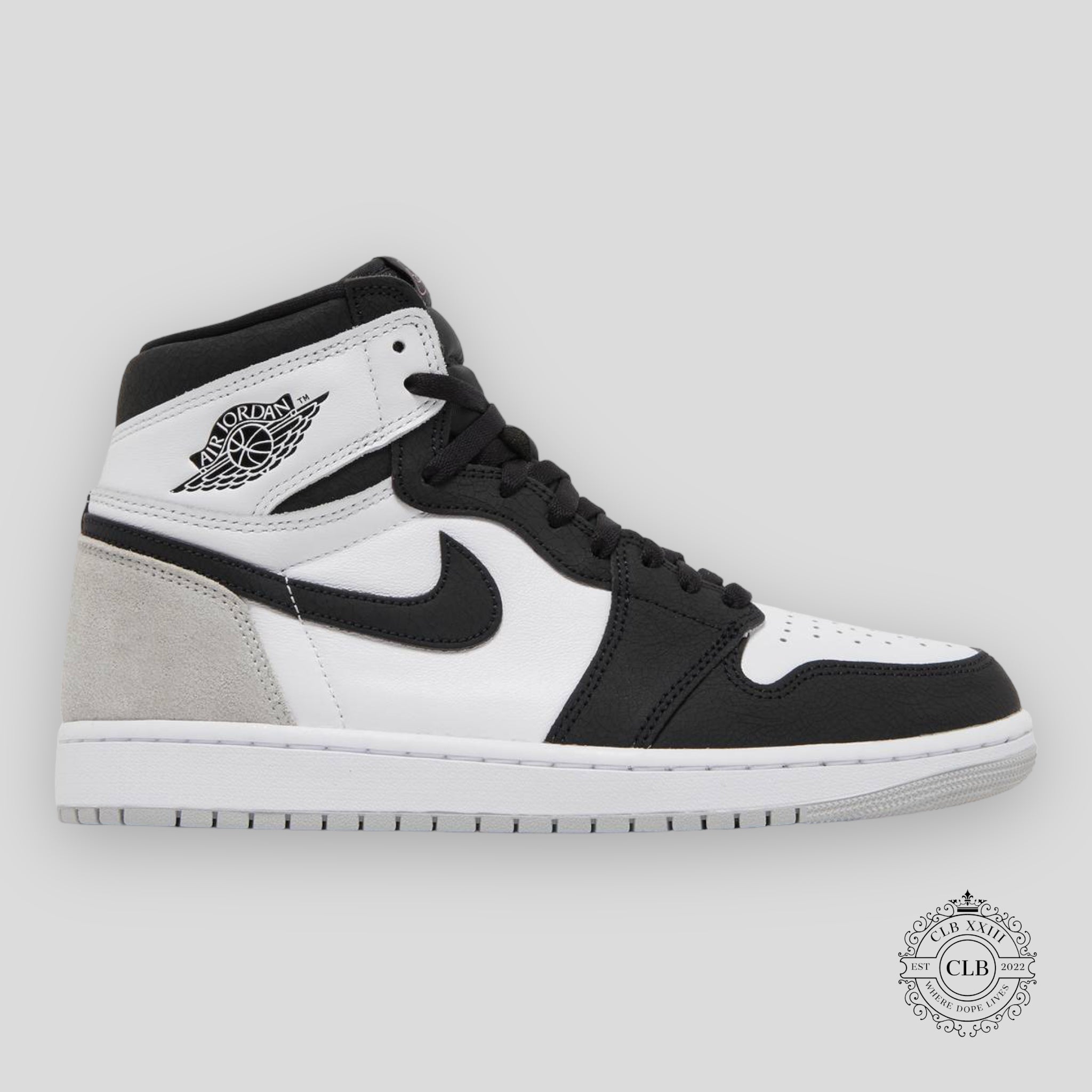 AIR JORDAN 1 RETRO HIGH OG « BLEACHED CORAL »