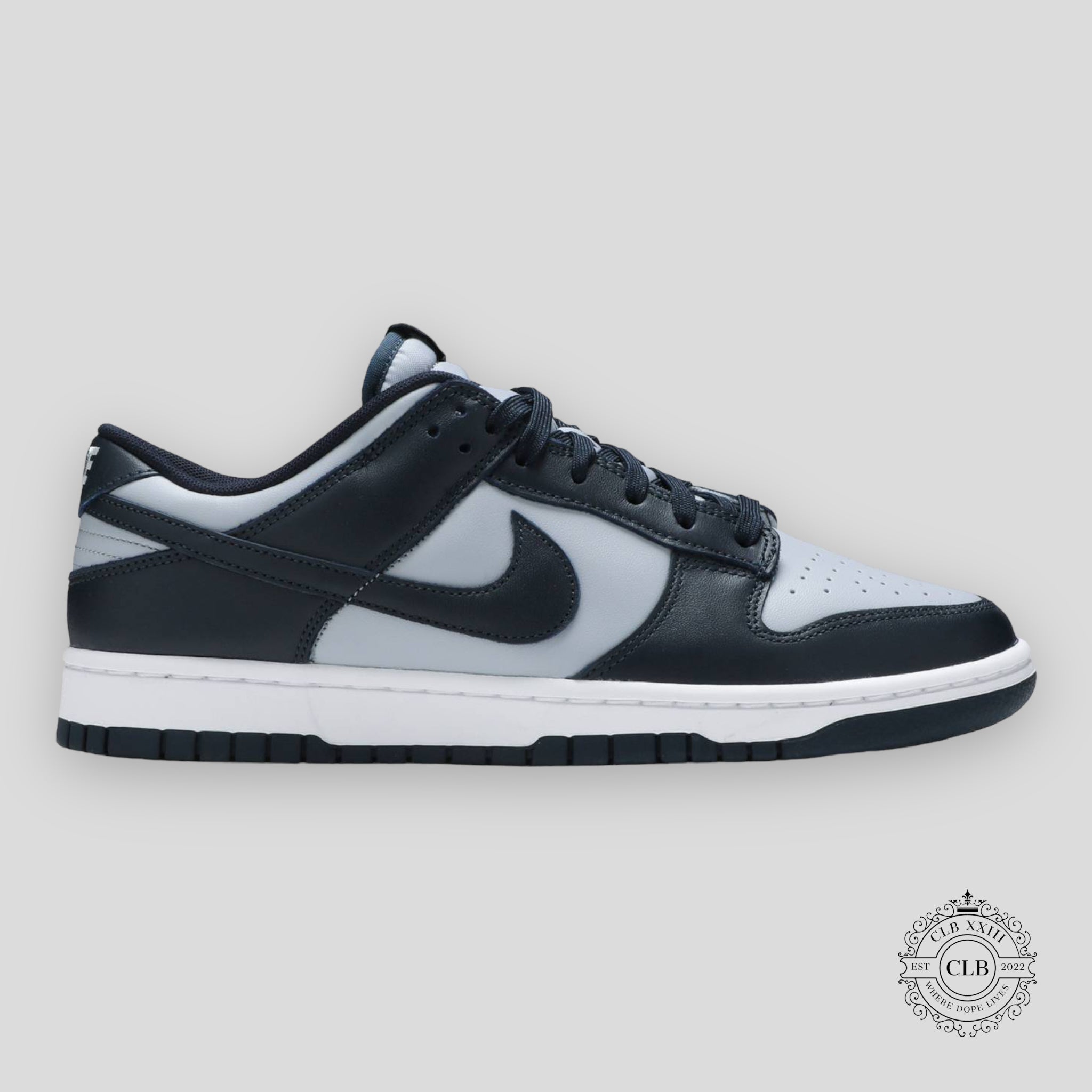 NIKE DUNK LOW « GEORGETOWN »