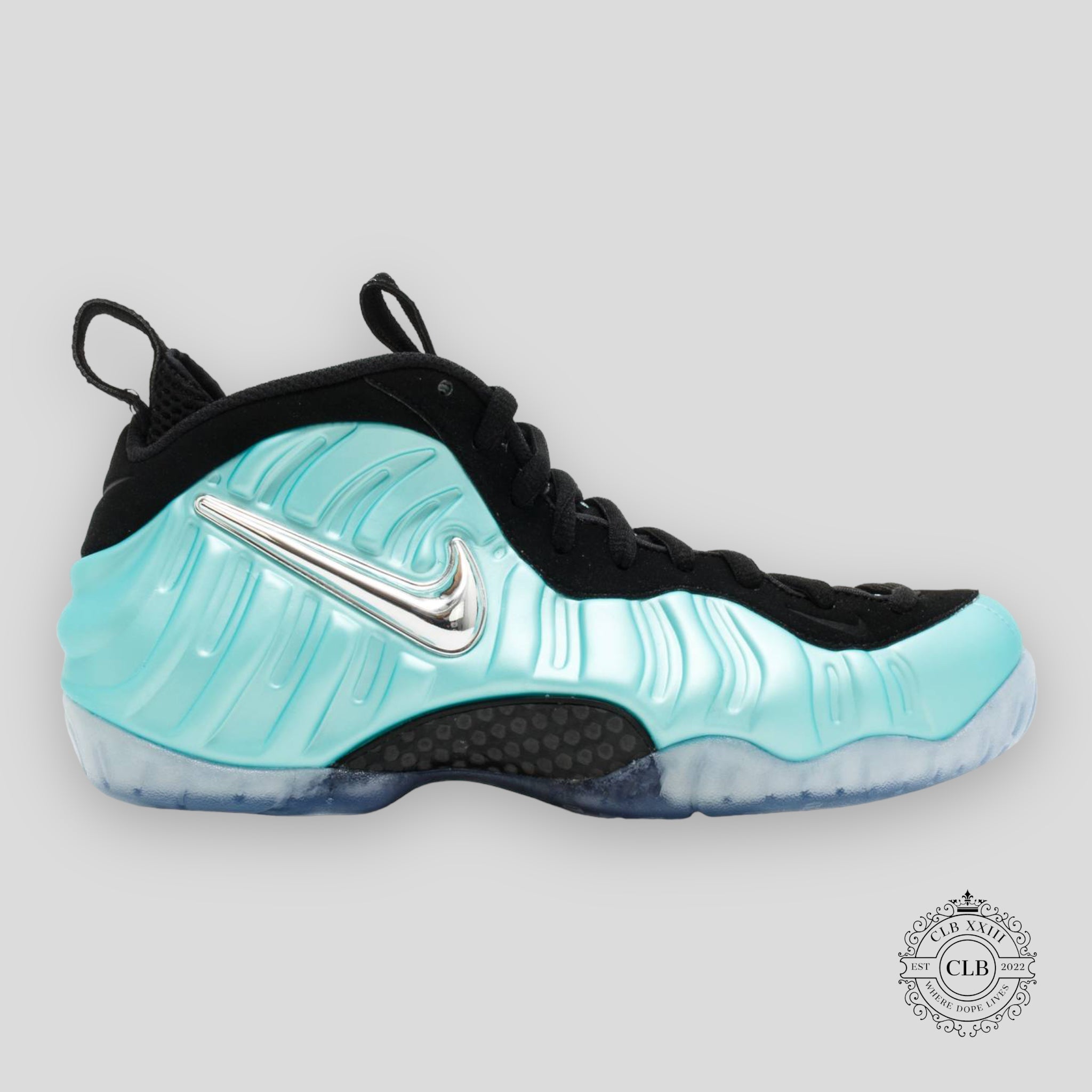 NIKE AIR FOAMPOSITE PRO « ISLAND GREEN »