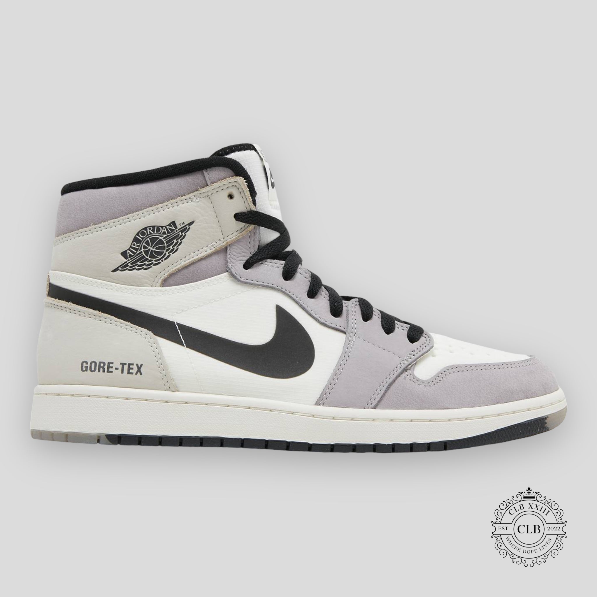 AIR JORDAN 1 RETRO HIGH X GORE-TEX « LIGHT BONE »