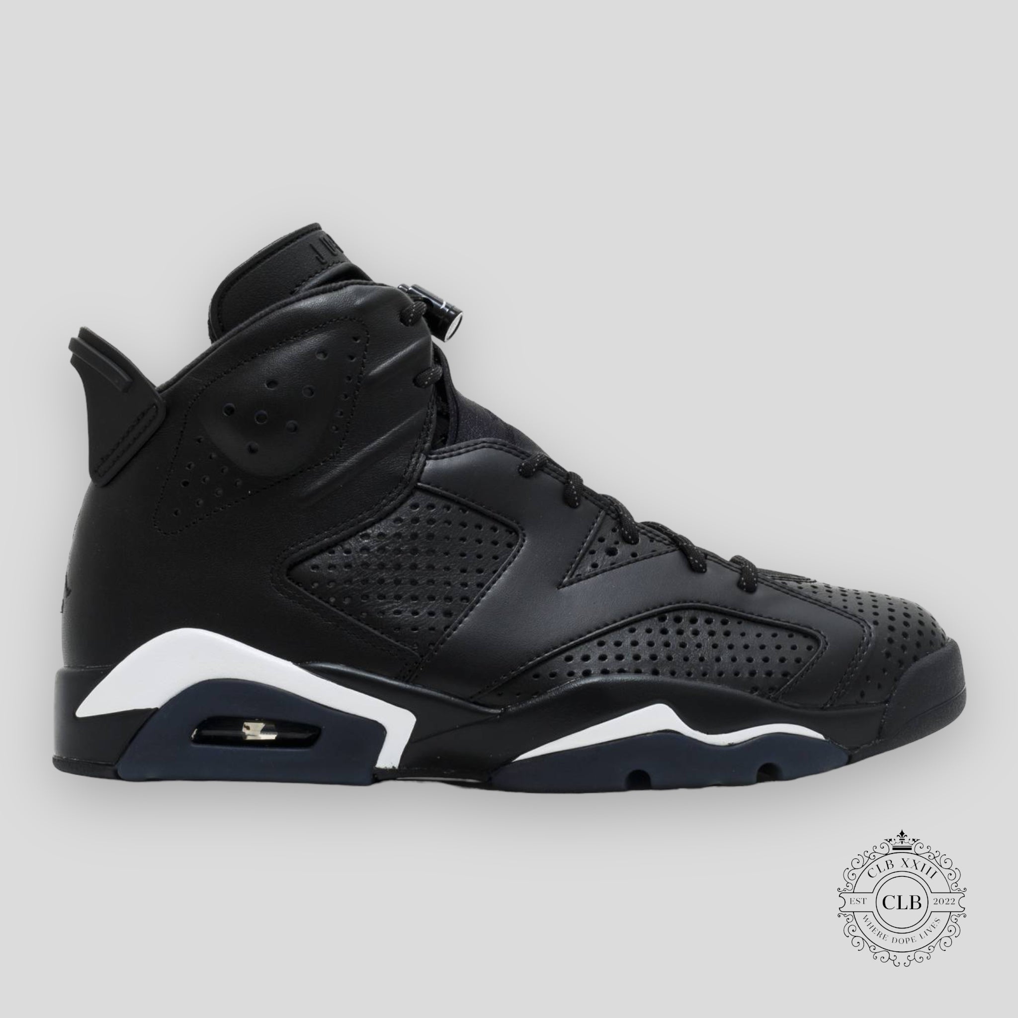 AIR JORDAN 6 RETRO « BLACK CAT »