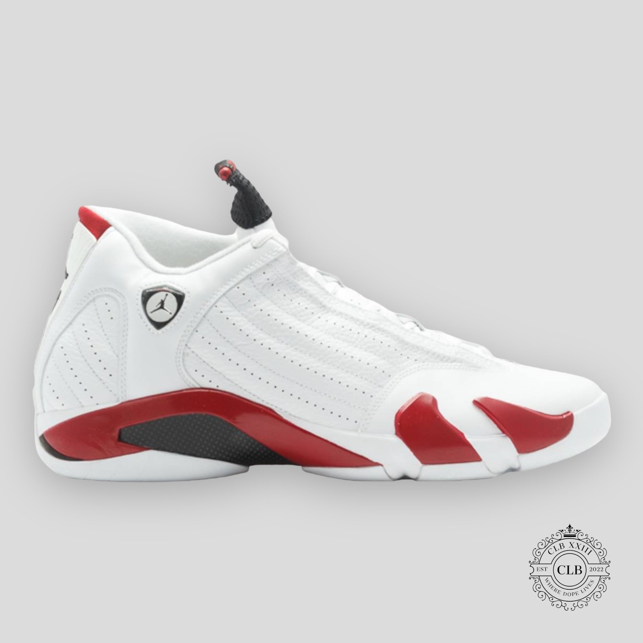 AIR JORDAN 14 RETRO « CANNE À SUCRE » 2012