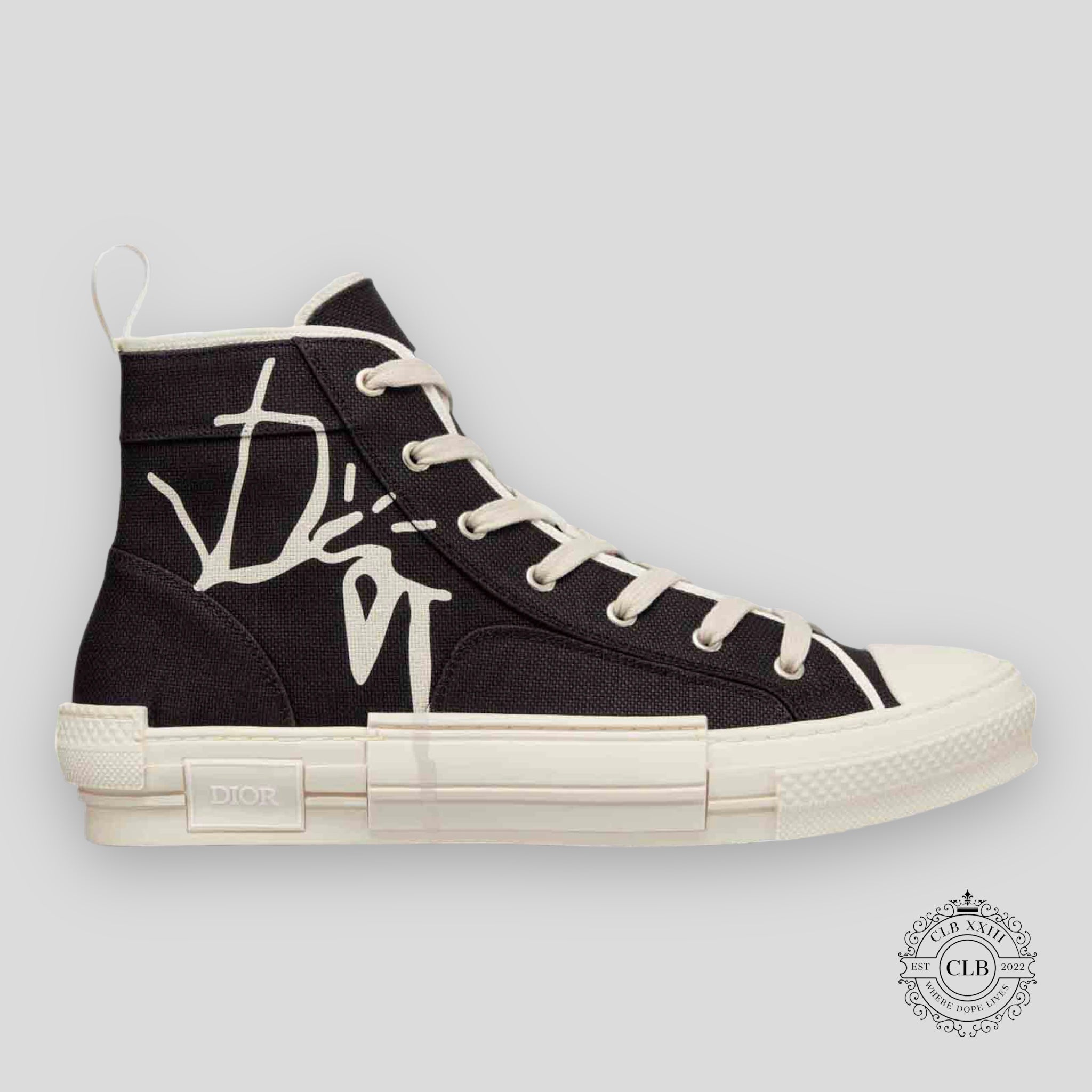 CHRISTIAN DIOR B23 X CACTUS JACK « NOIR »