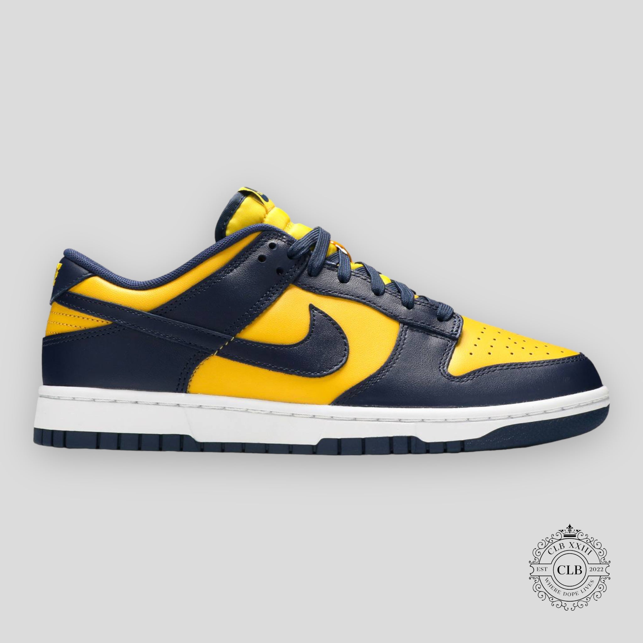NIKE DUNK LOW « MICHIGAN »