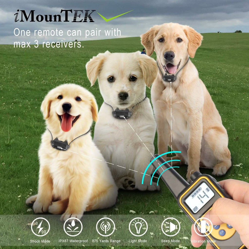 Collier de dressage pour chien iMountek IP